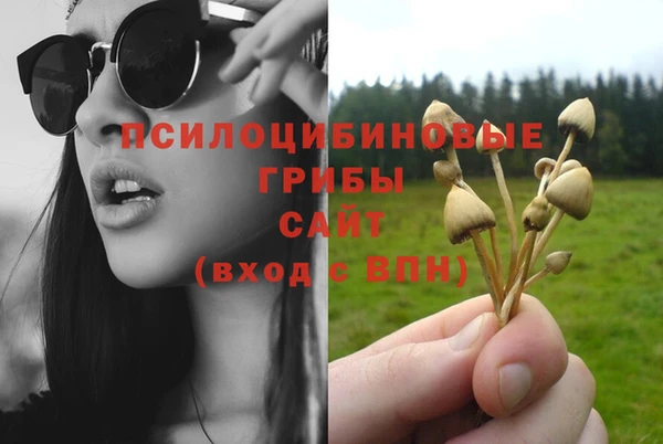 прущие крисы Богданович