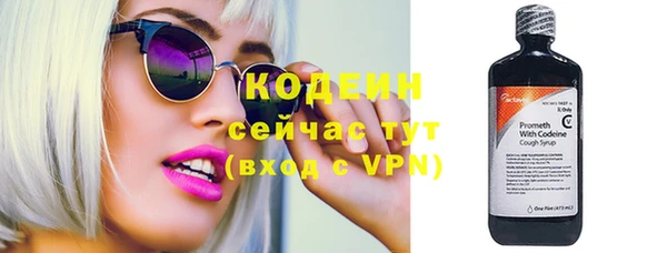 дмт Богородск