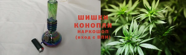 дмт Богородск