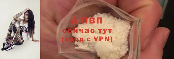 дмт Богородск