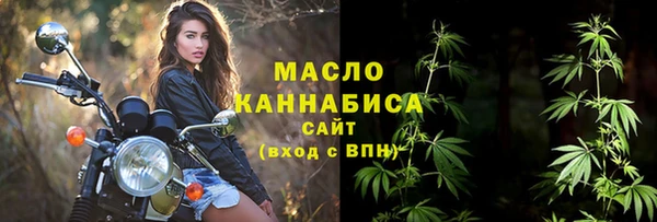 дмт Богородск