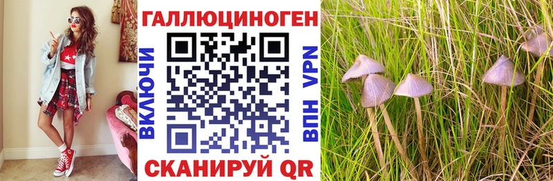 Псилоцибиновые грибы Psilocybe  дарк нет как зайти  Светогорск  продажа наркотиков 